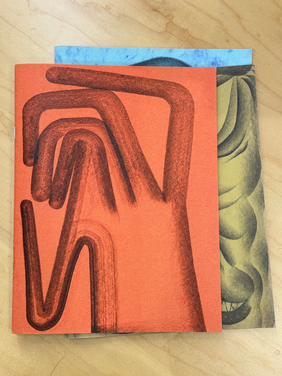 You'll Never Know Volume 1-3 Zines (2nd Printings) – Face Guts