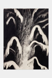 Uprooting, Untitled #3, charcoal on paper by Timothy J Lamb, original artwork — Tim Biskup